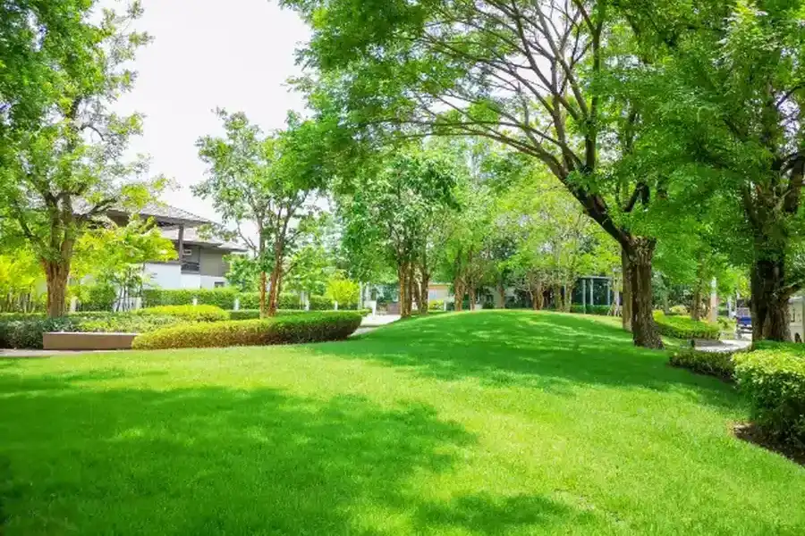 Key Lawn Maintenance Tasks You Shouldnt Overlook Loxahatchee, FL Key Lawn Maintenance Tasks You Shouldnt Overlook Loxahatchee, FL